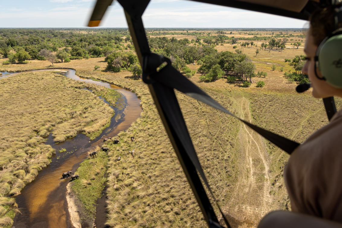HELICOPTER SCENIC FLIGHT 