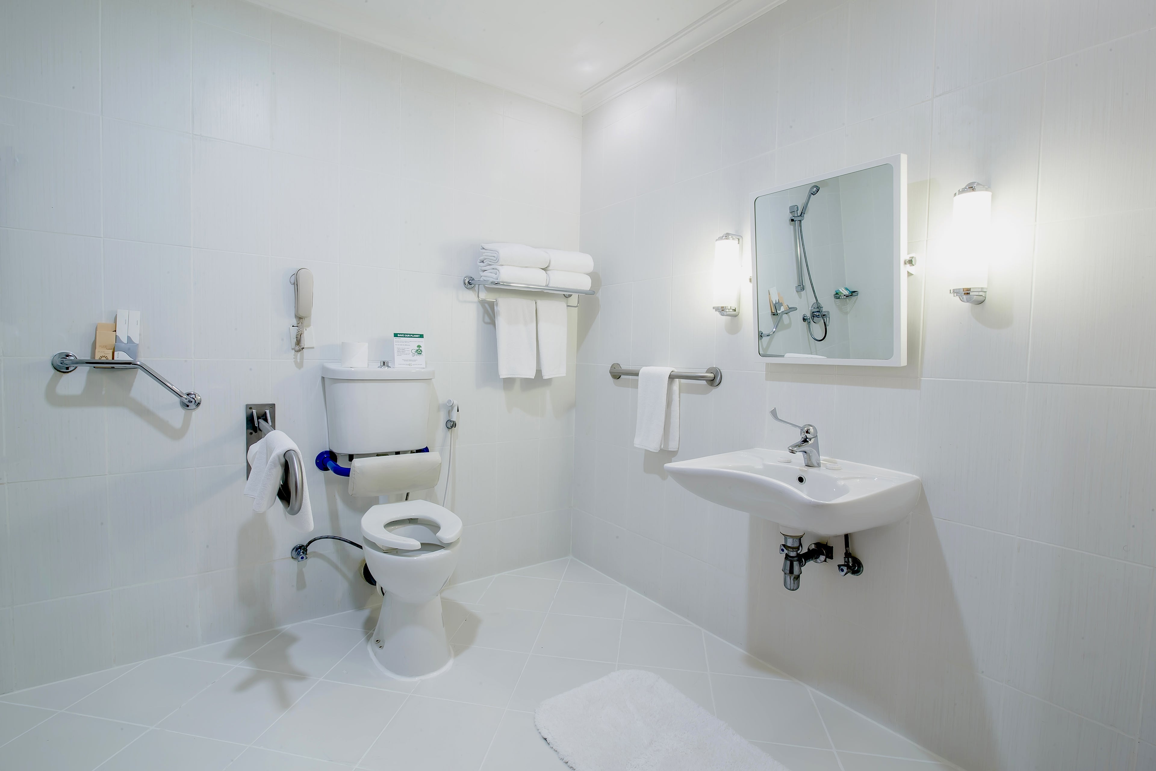 Handicap Bathroom
