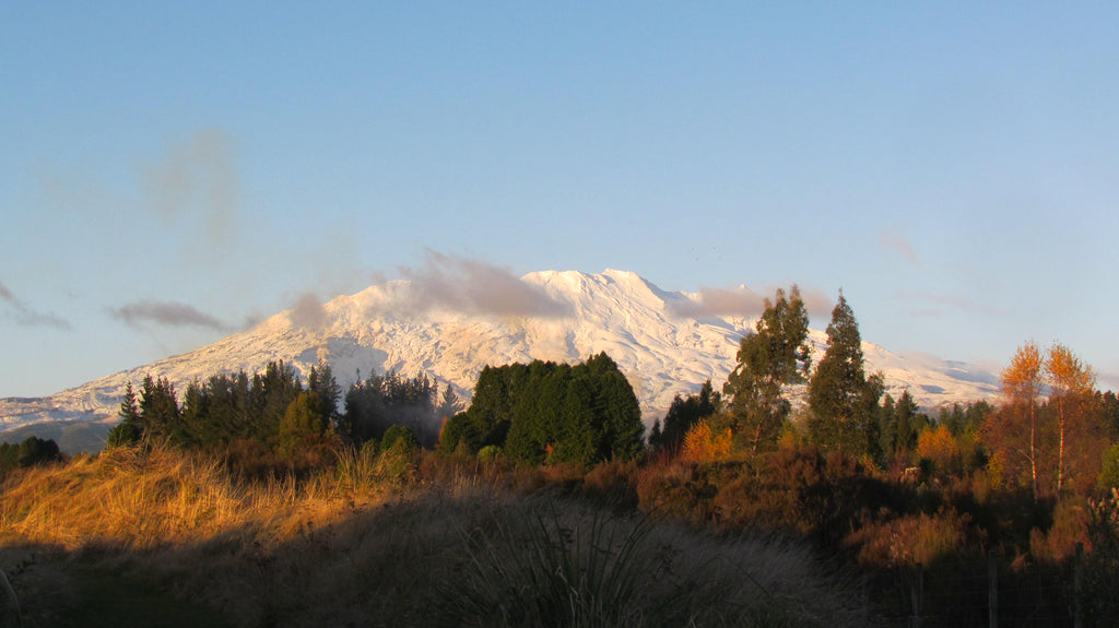 Glorious mountain views