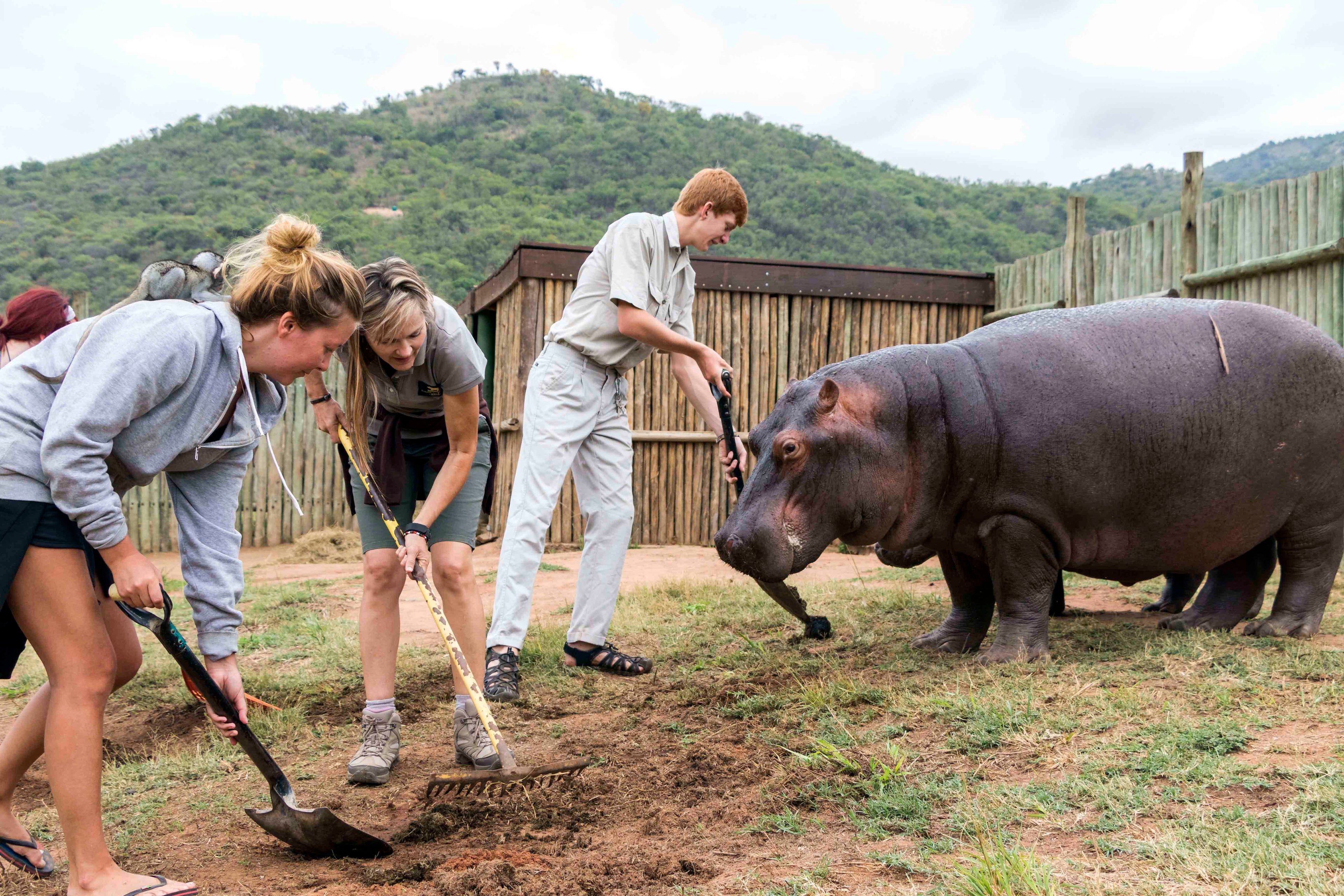 Care for Wild Africa for Rhinos