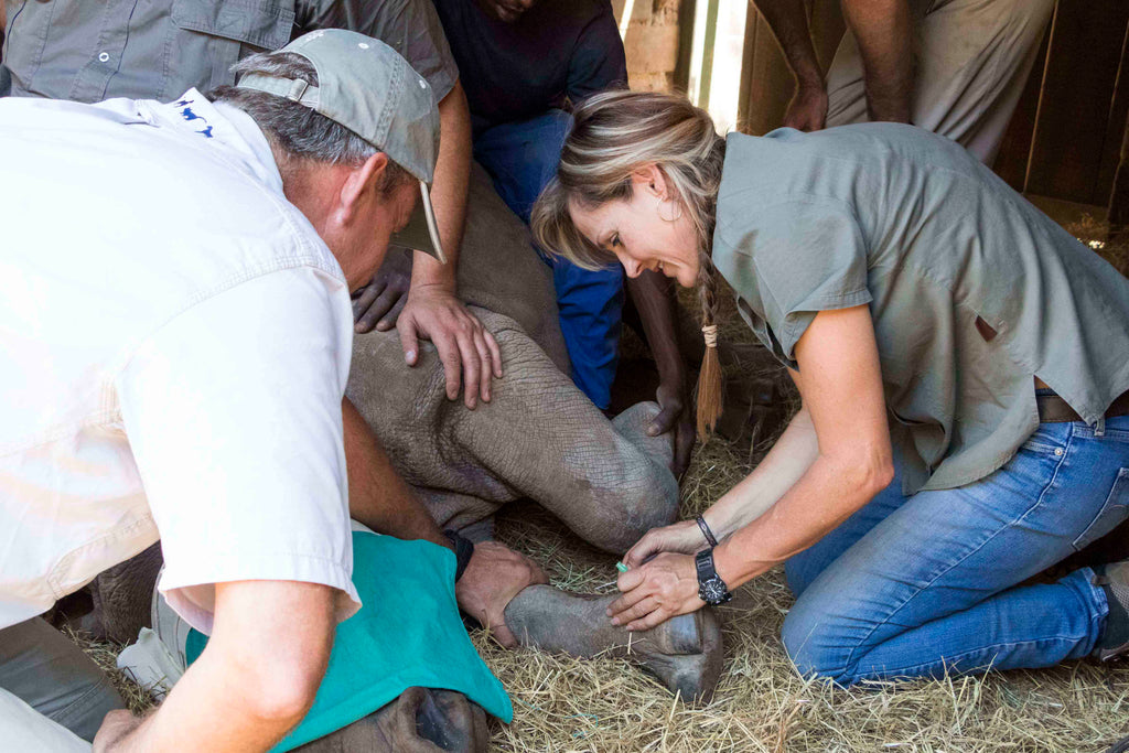 Care for Wild Africa for Rhinos