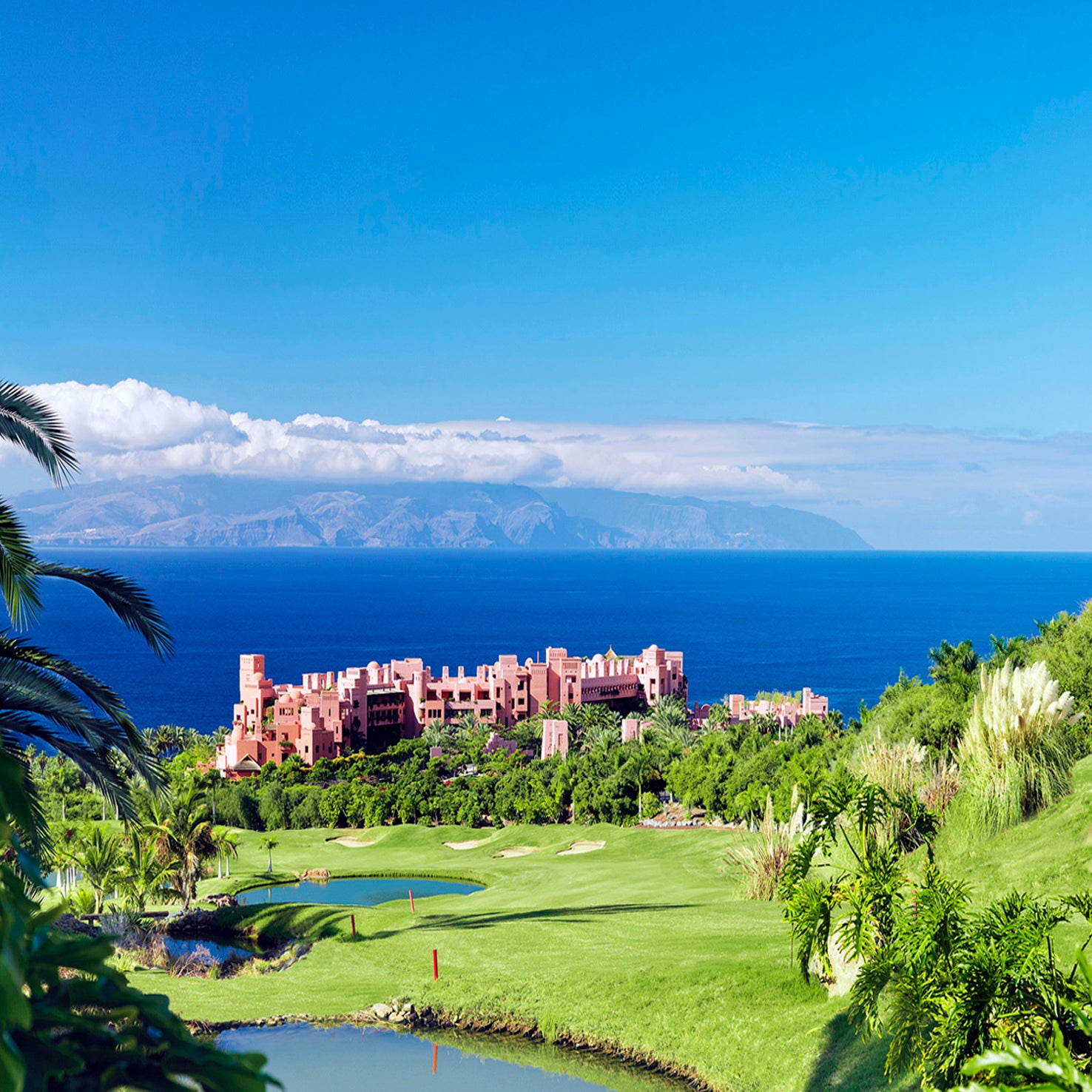 Take a step closer to paradise