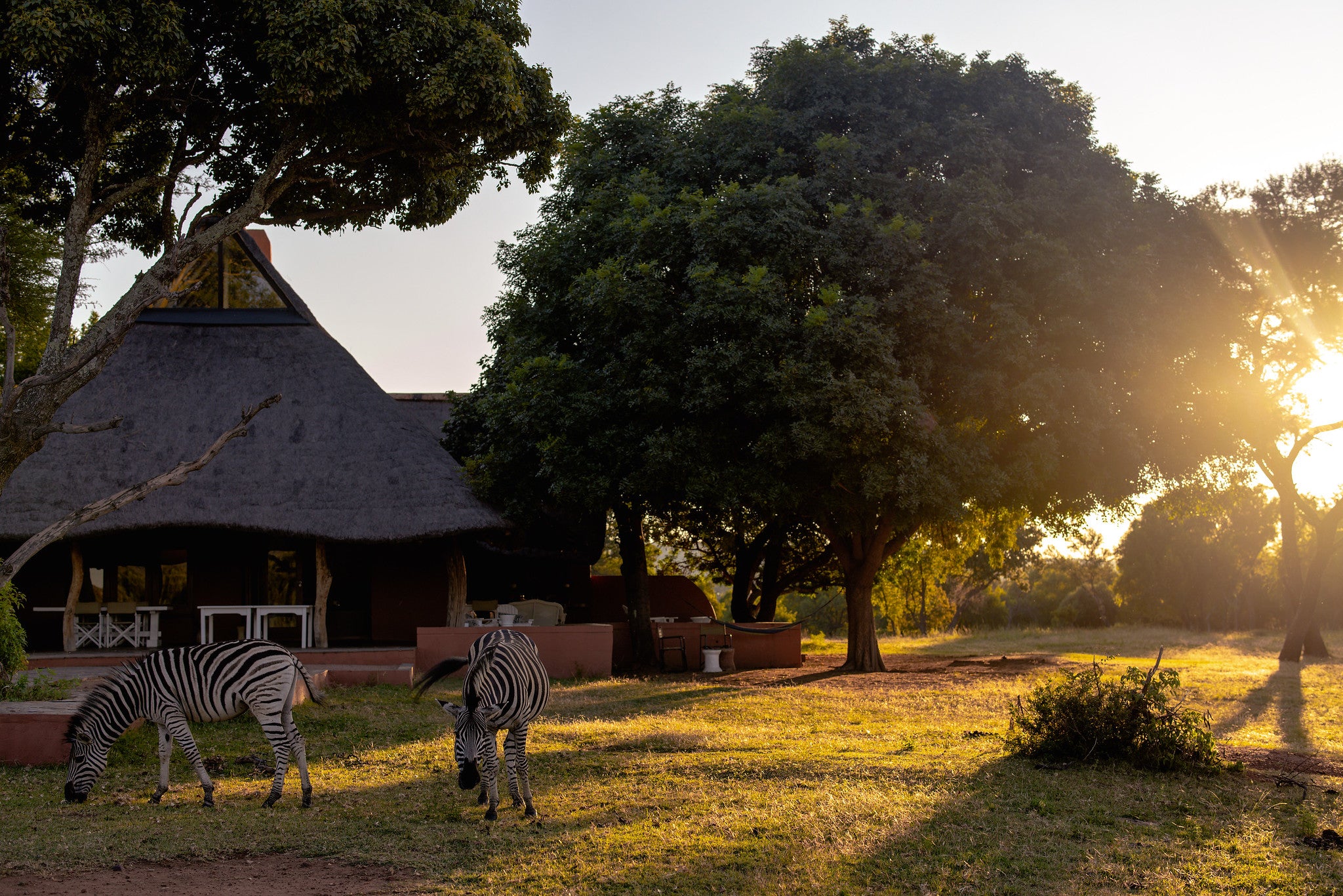 Main Lodge