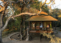 Saddlebill Tent gallery image 1
