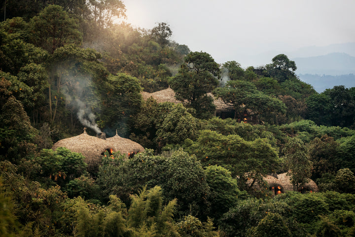 Wilderness Bisate