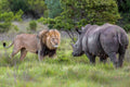 Game Activities & Wildlife