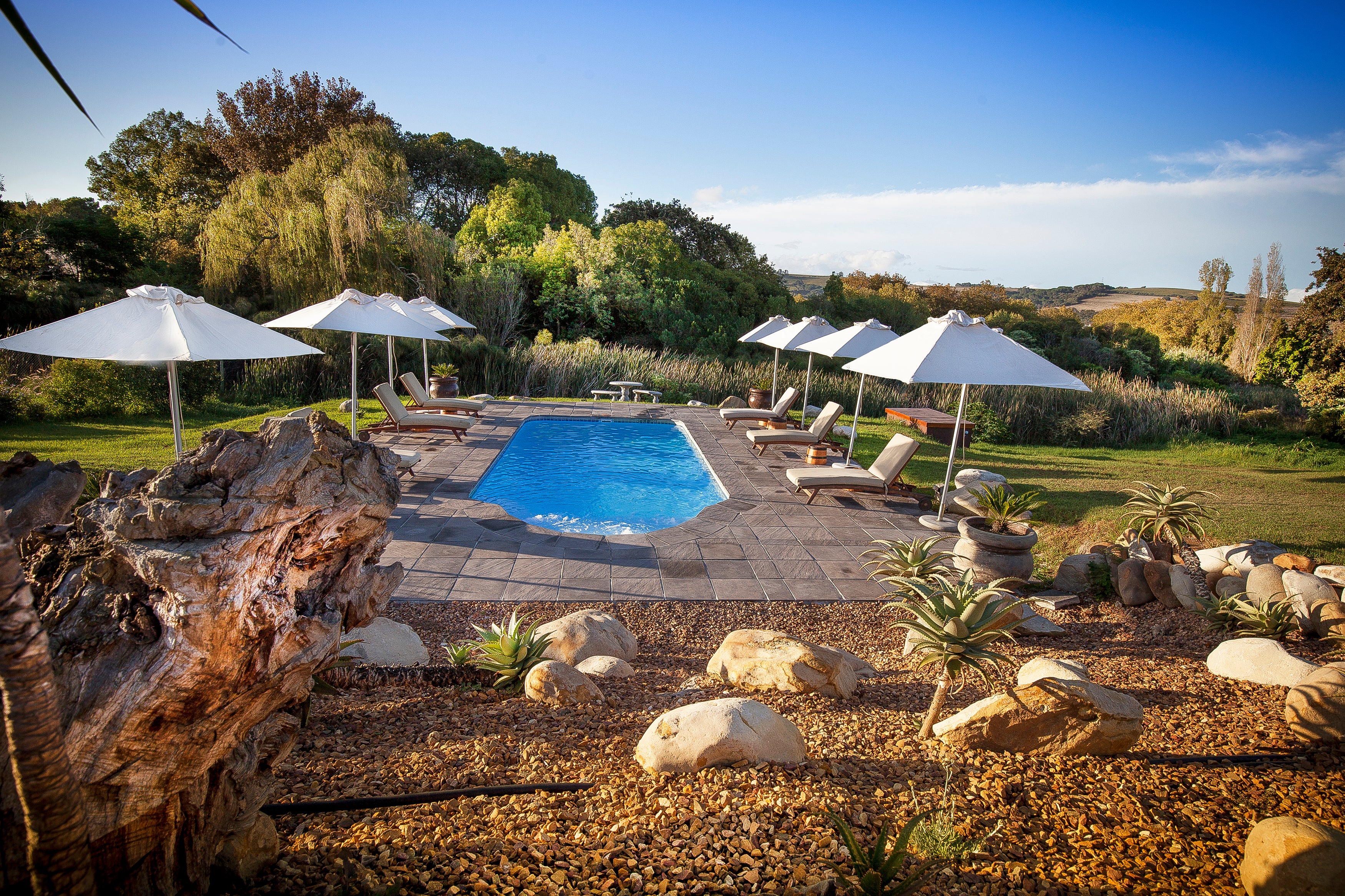 Second pool with a lot of privacy and peace.