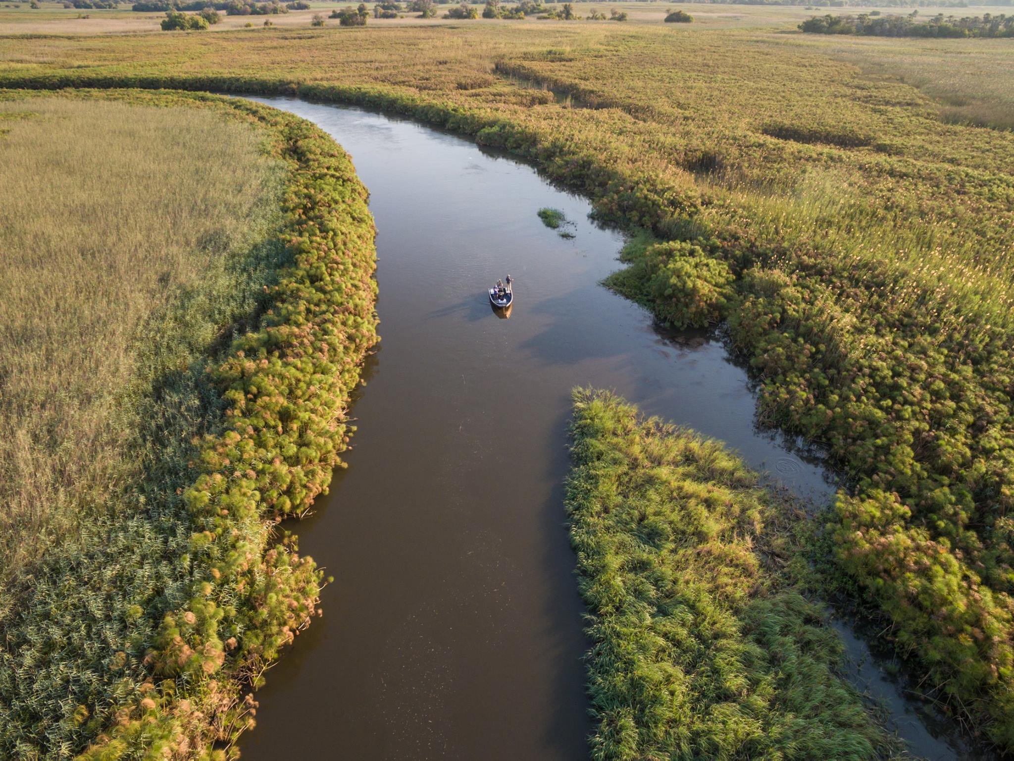 The Okavango River