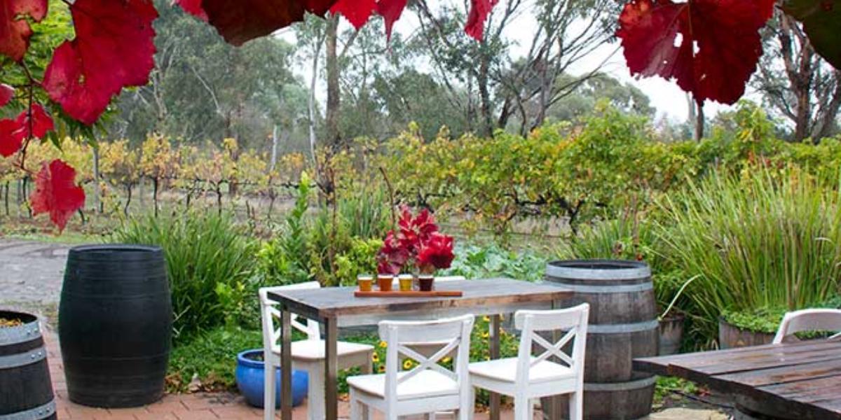 McLaren Vale Food and Wine Indulgence