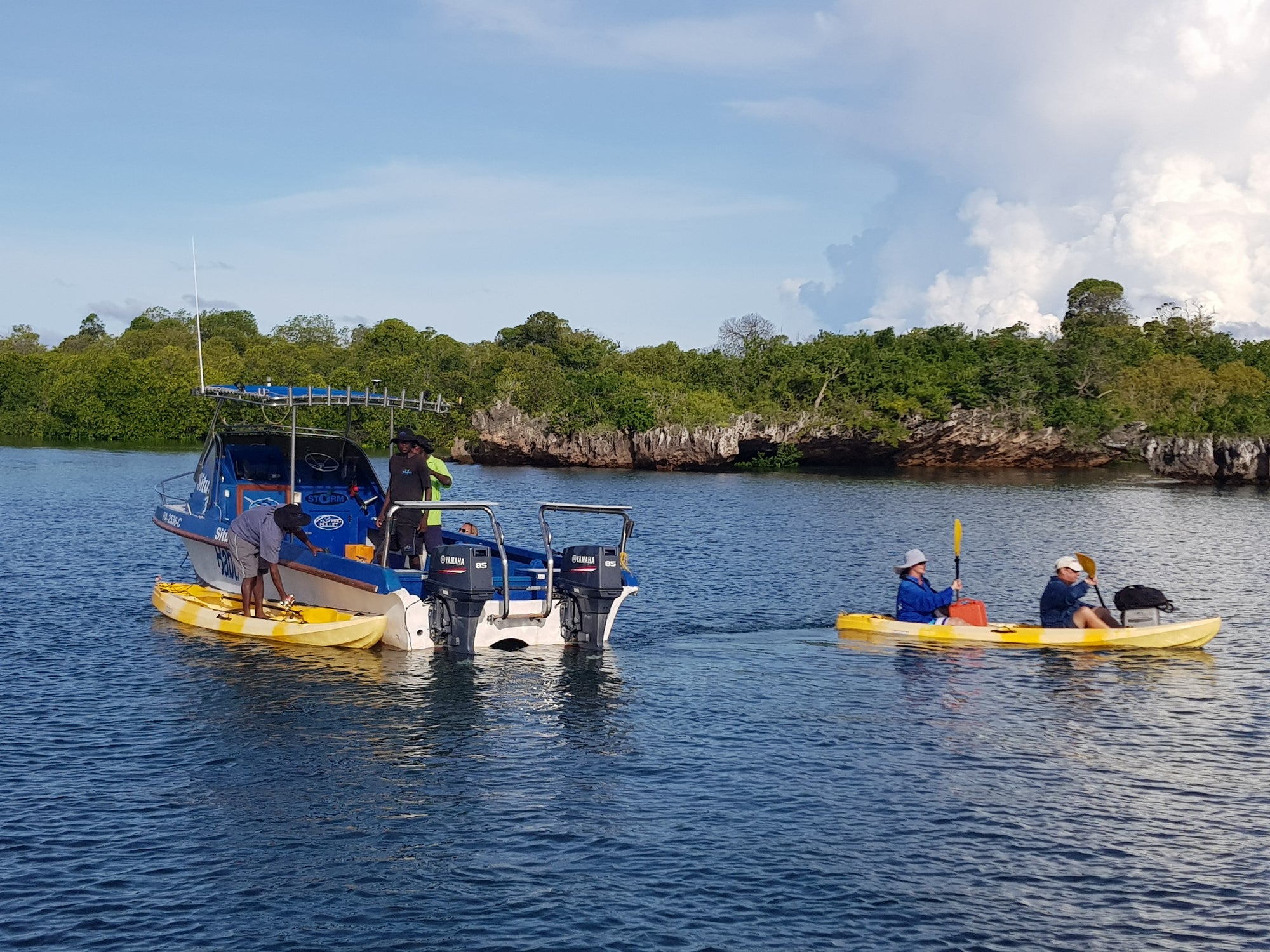 Kayaking the mangroves