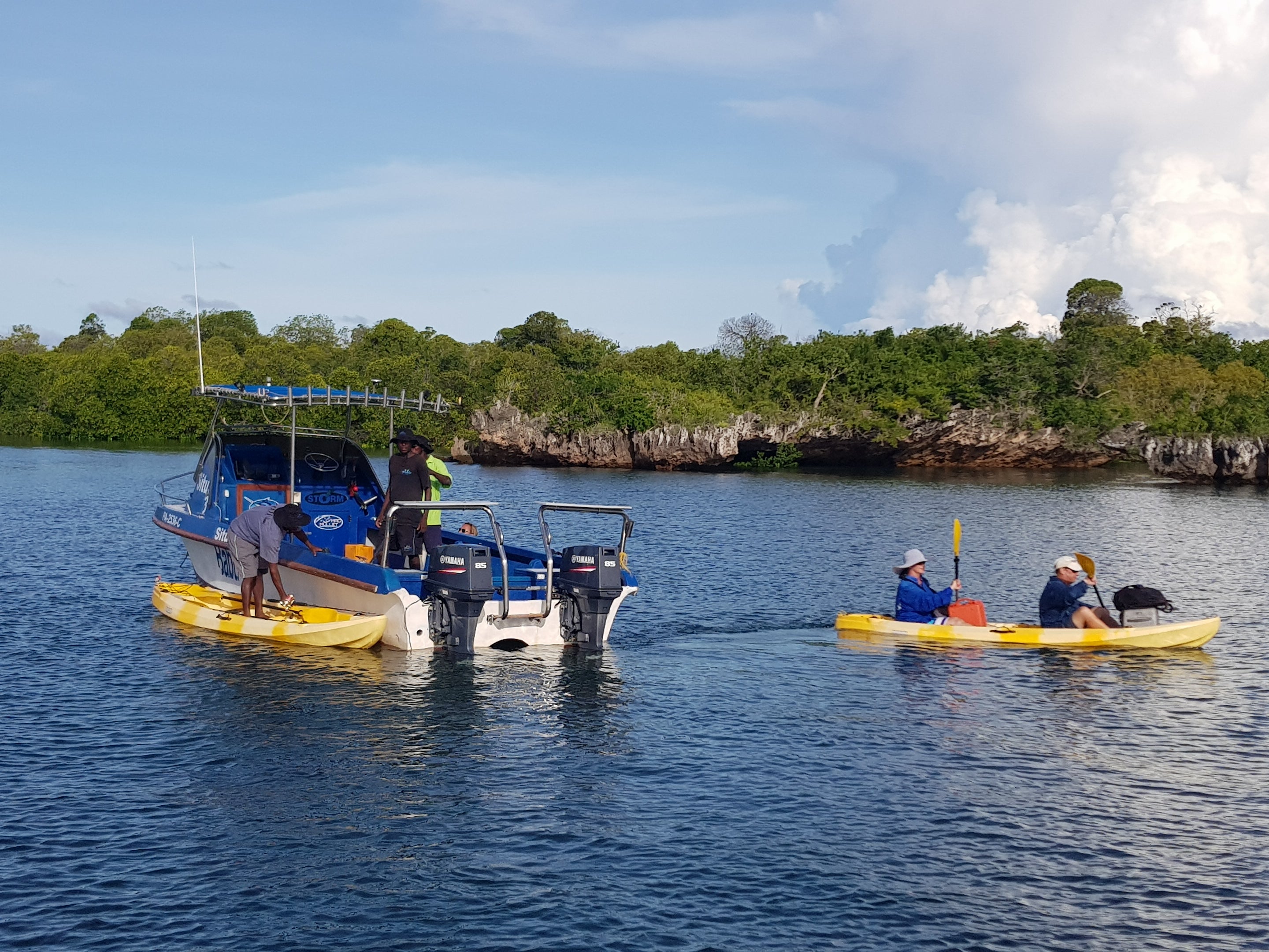 Kayaking the mangroves