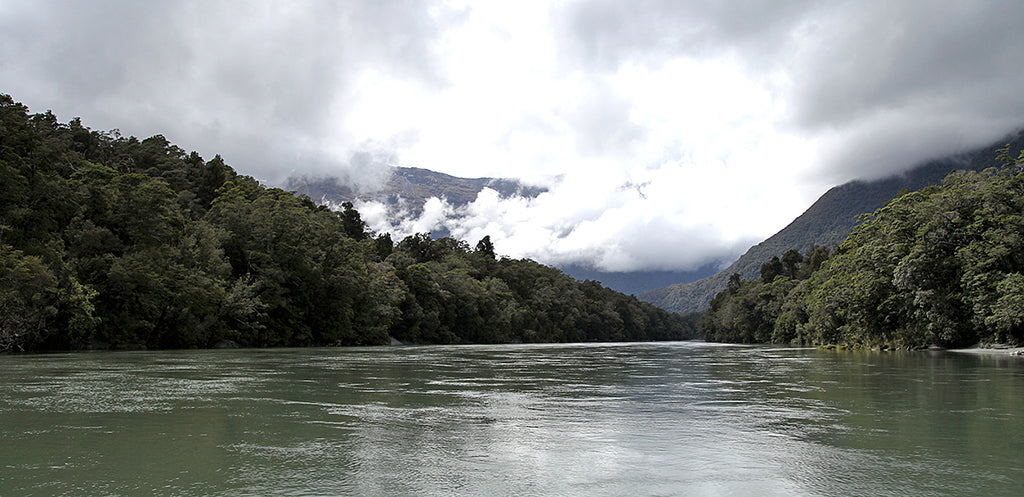 Wayne's Waiatoto Jet Boat Exclusive Tour