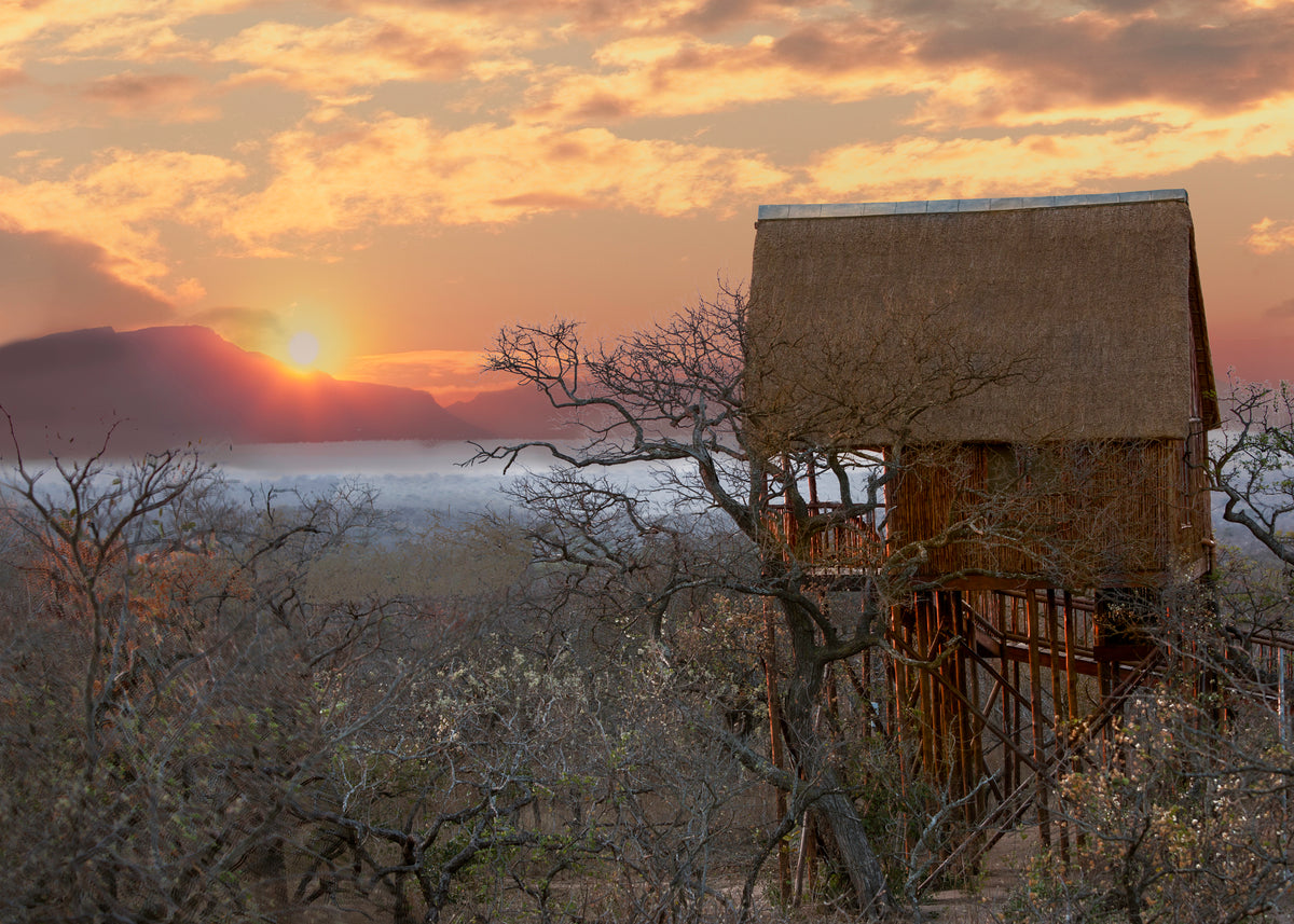 Bona Ntaba Tree House Lodge