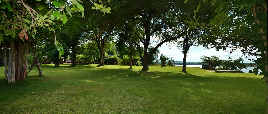Campsite