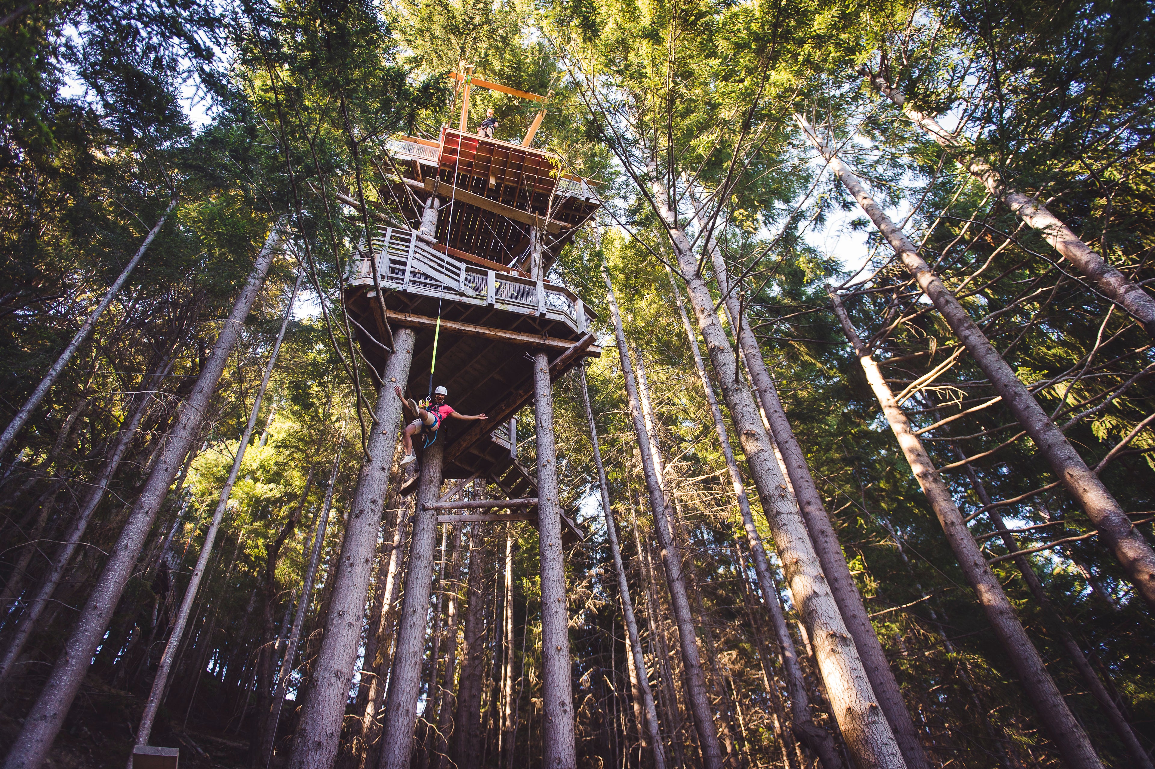 Ziptrek Ecotours