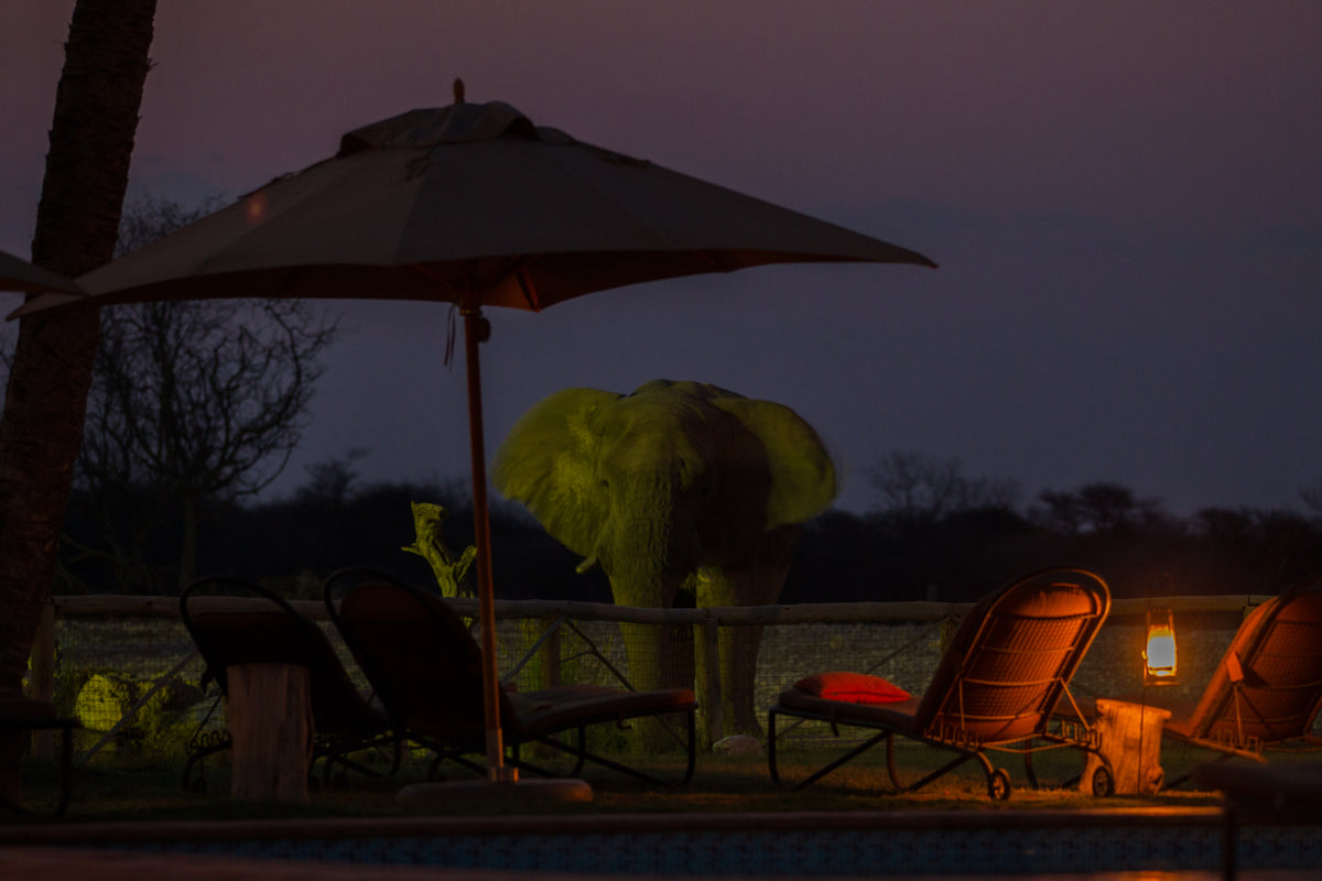 Onguma Bush Camp