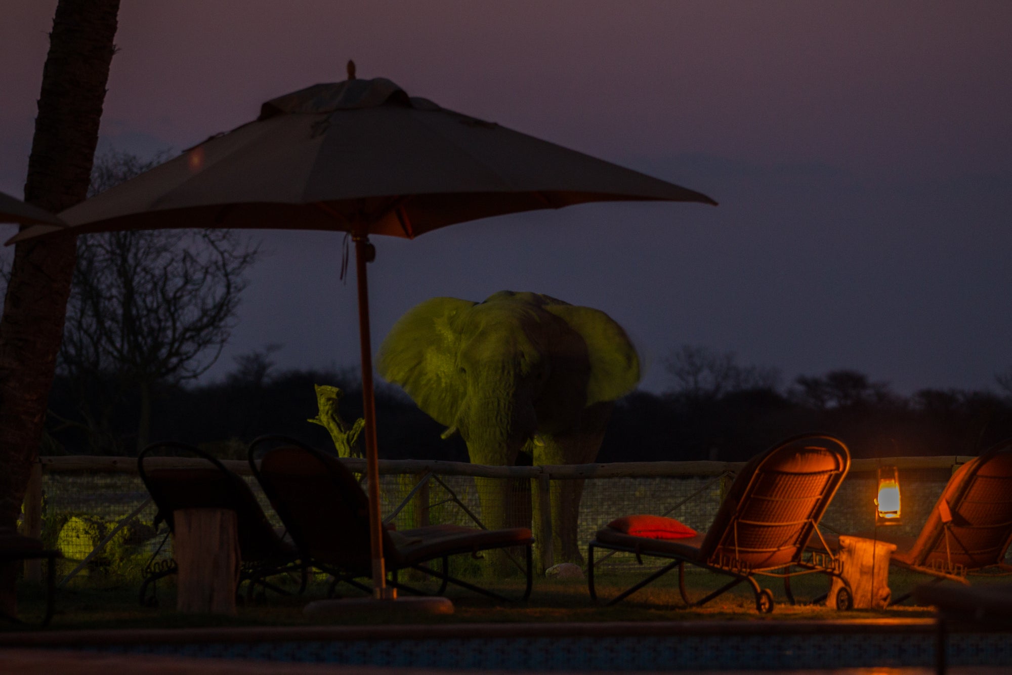 Onguma Bush Camp