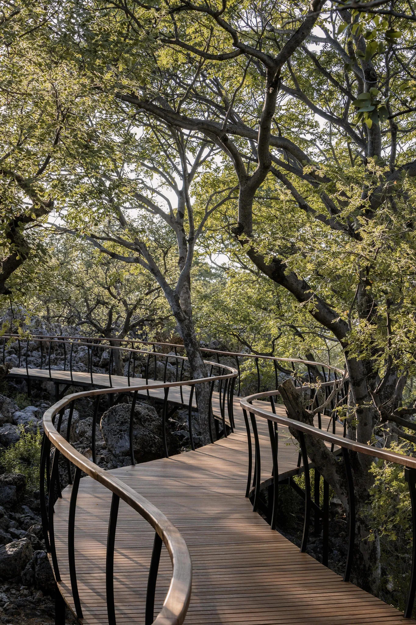 Horizon at Horizon by Ongava, Ongava Private Game Reserve, Namibia.