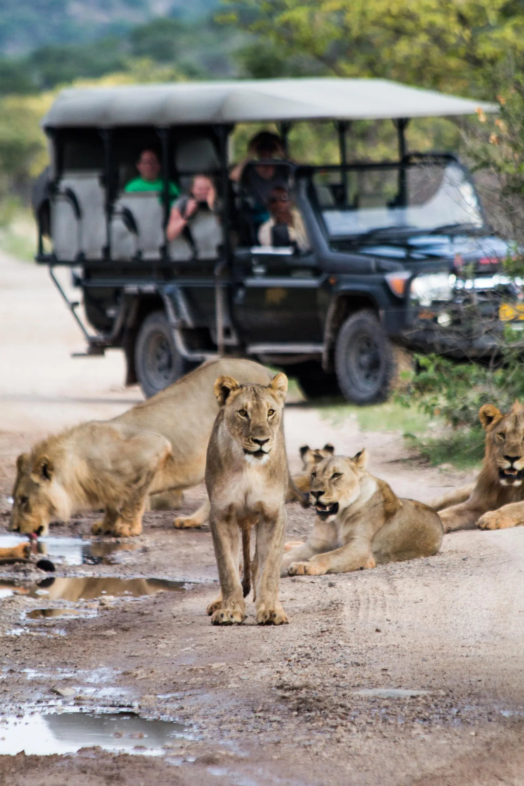 Ongava Photographic Hide at Horizon by Ongava, Ongava Private Game Reserve, Namibia.