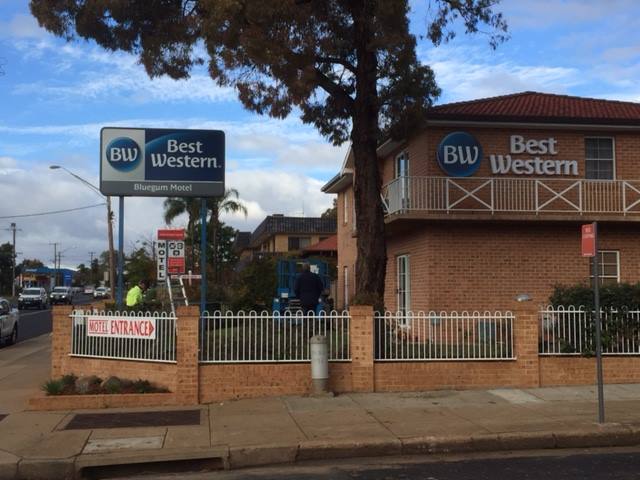 Best Western Bluegum Motel