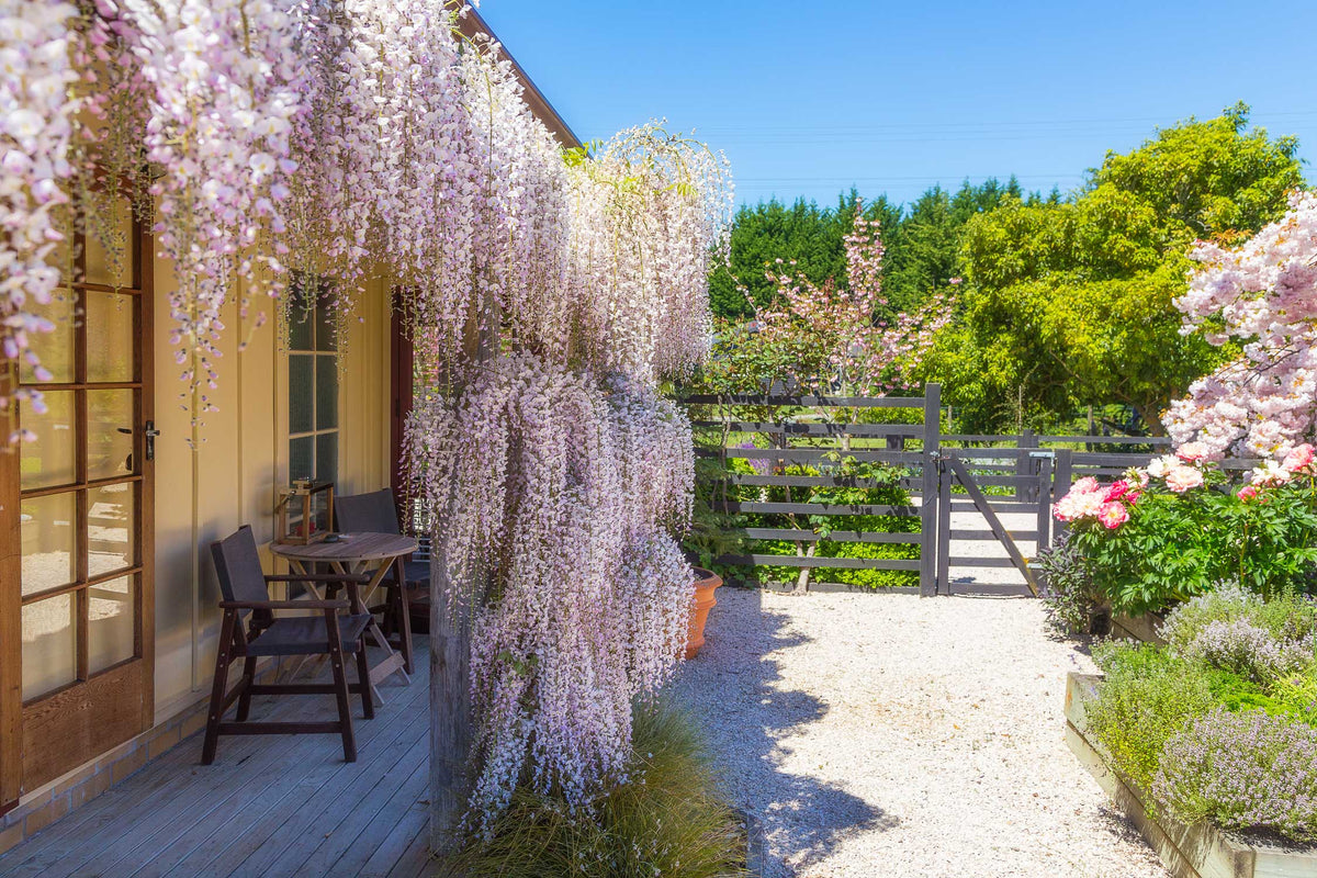 Tasman Village Cottage