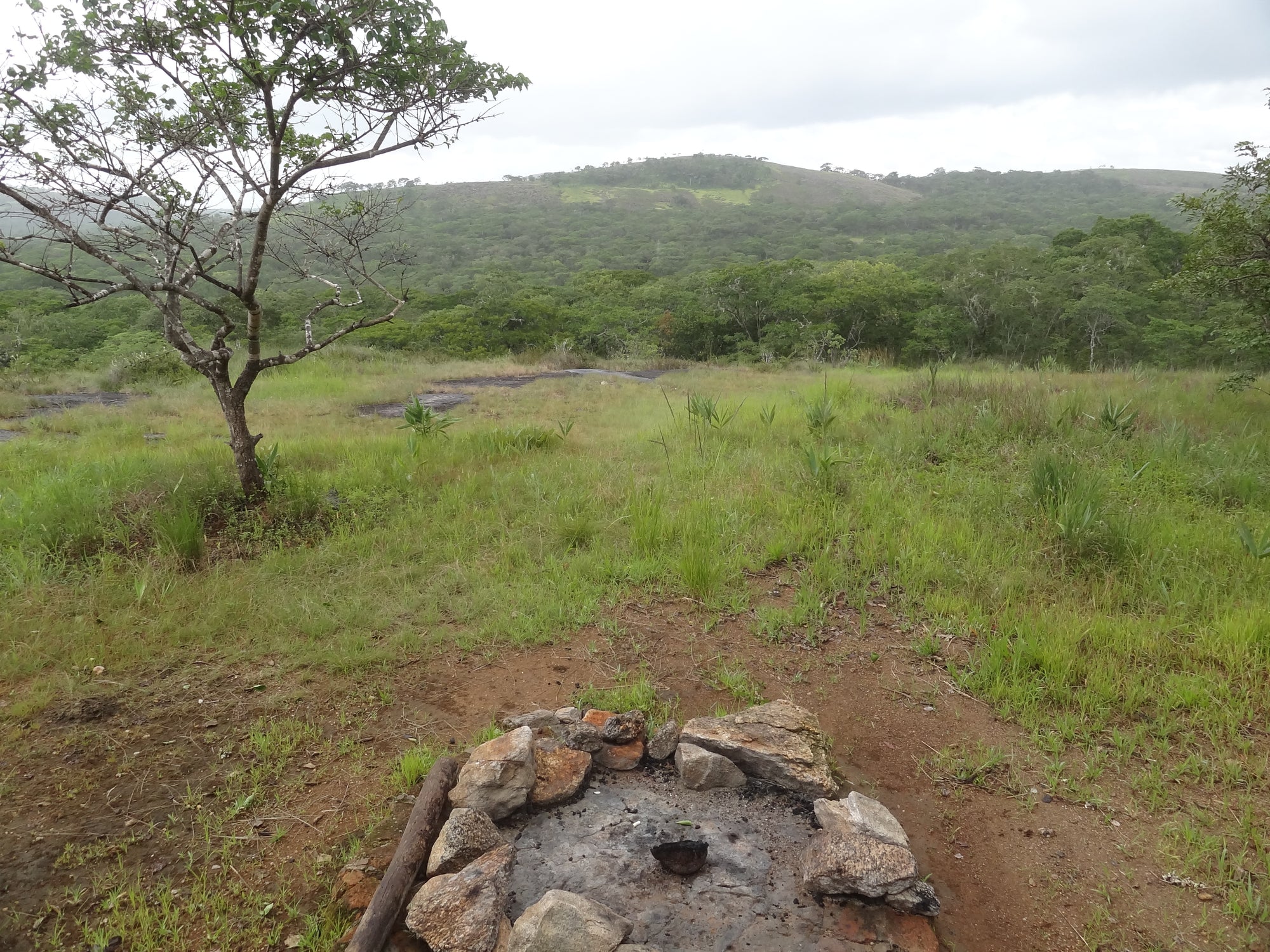 Fire pit
