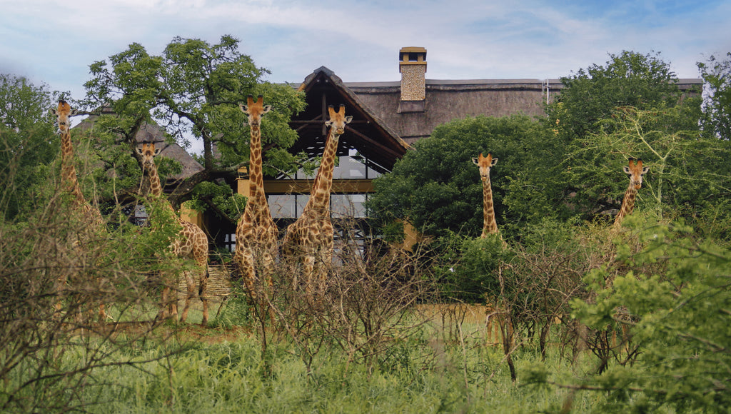 Villa exterior