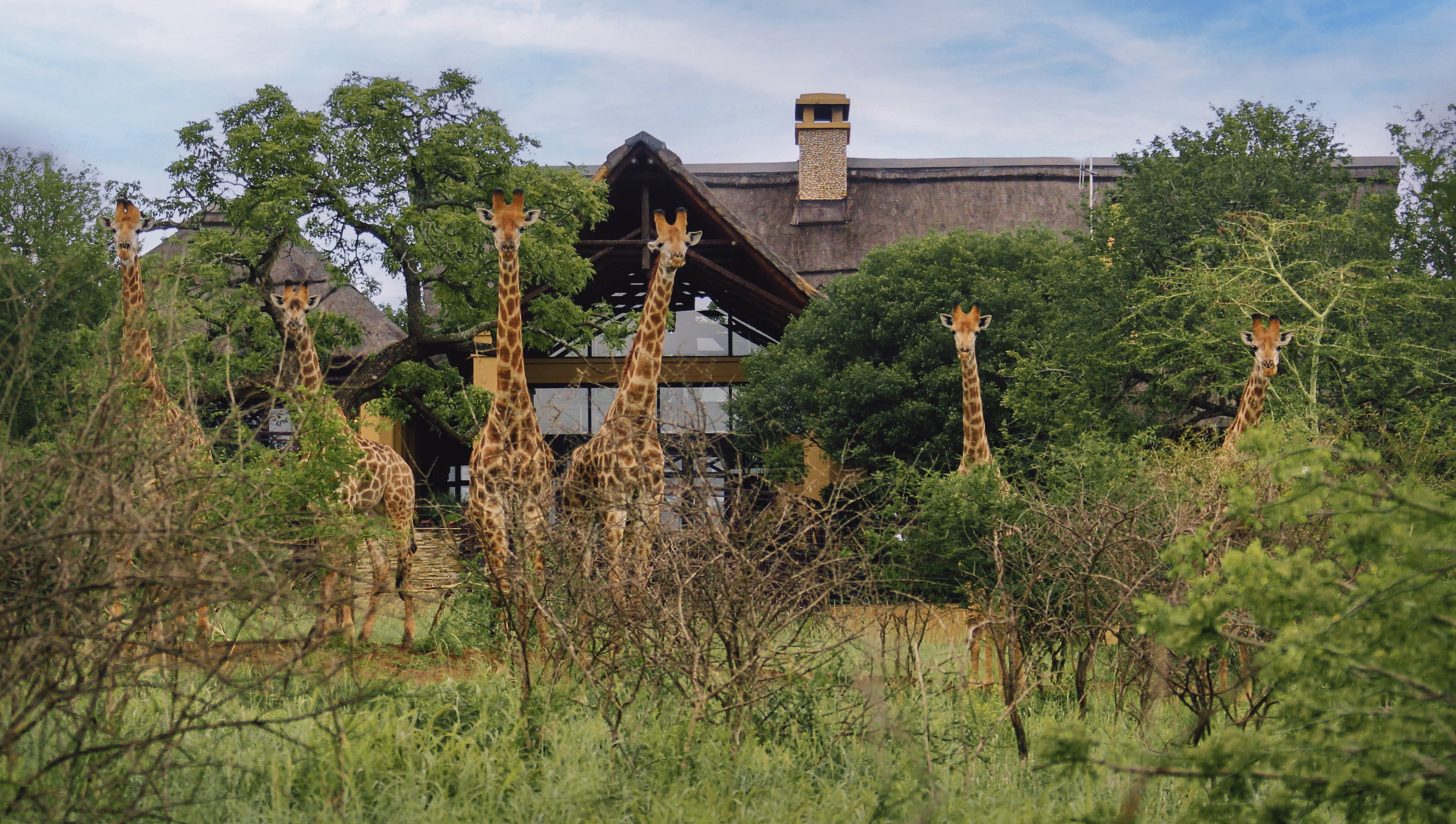 Villa exterior