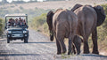 Big 5 Day Safari - Hlosi Game Lodge 