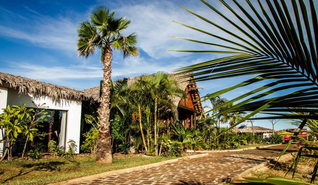 Mantasaly Resort