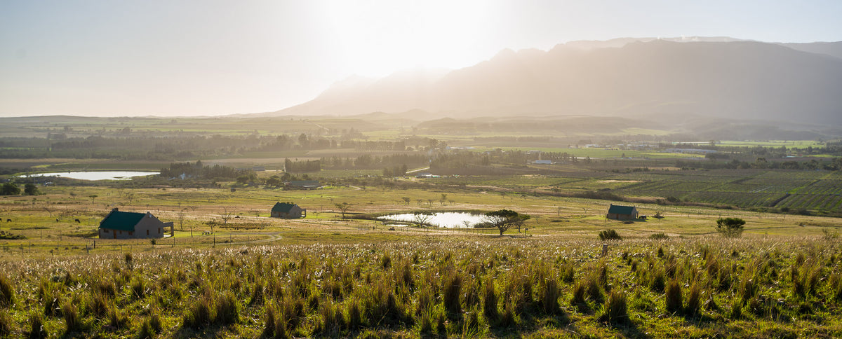 Kwetu Guest Farm