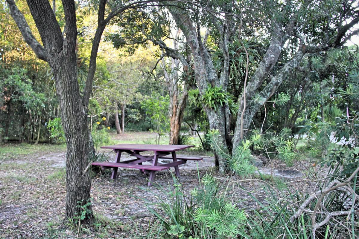 Waves Campground