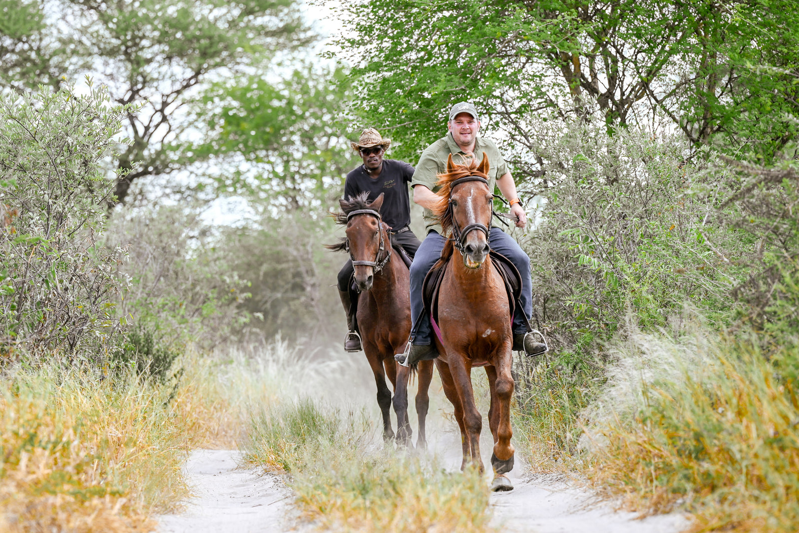 Feline Fields Lodge — Horse riding