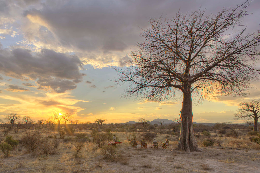 Jabali Ridge - Drinks at Sunset in Baobab Forest