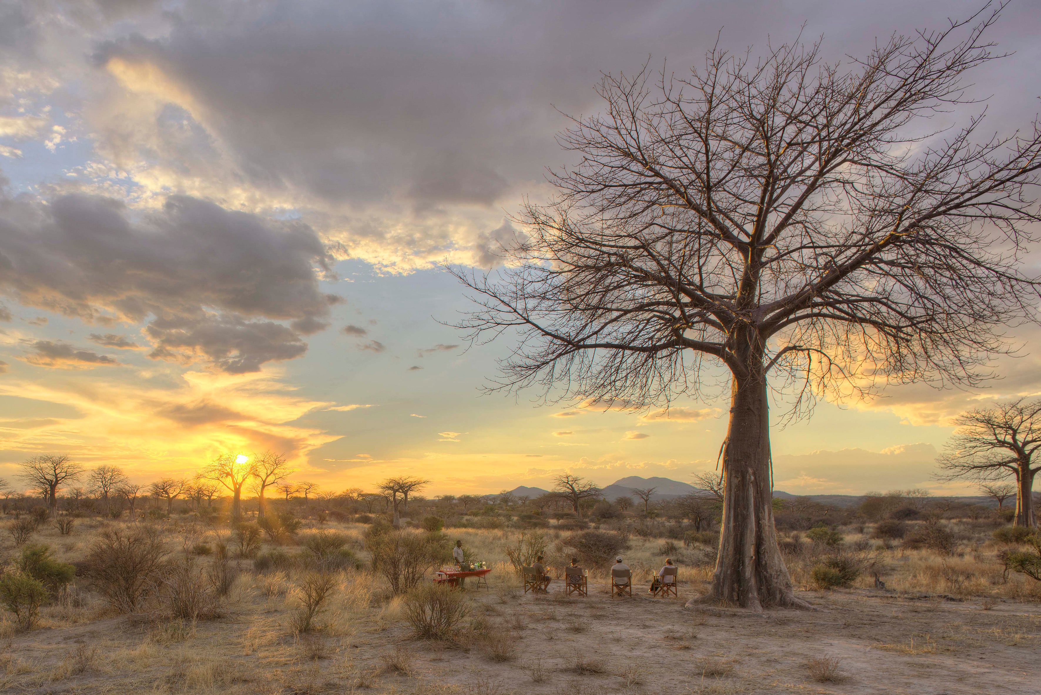 Jabali Ridge - Drinks at Sunset in Baobab Forest