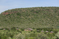 Spirit of the Masai Mara