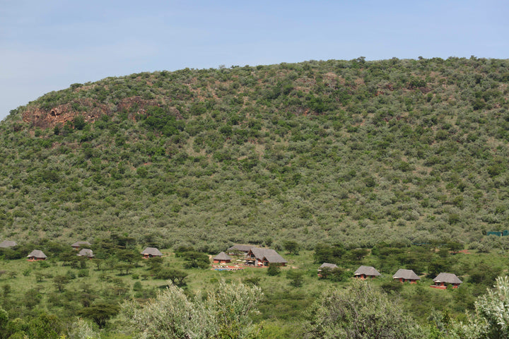 Spirit Of The Masai Mara