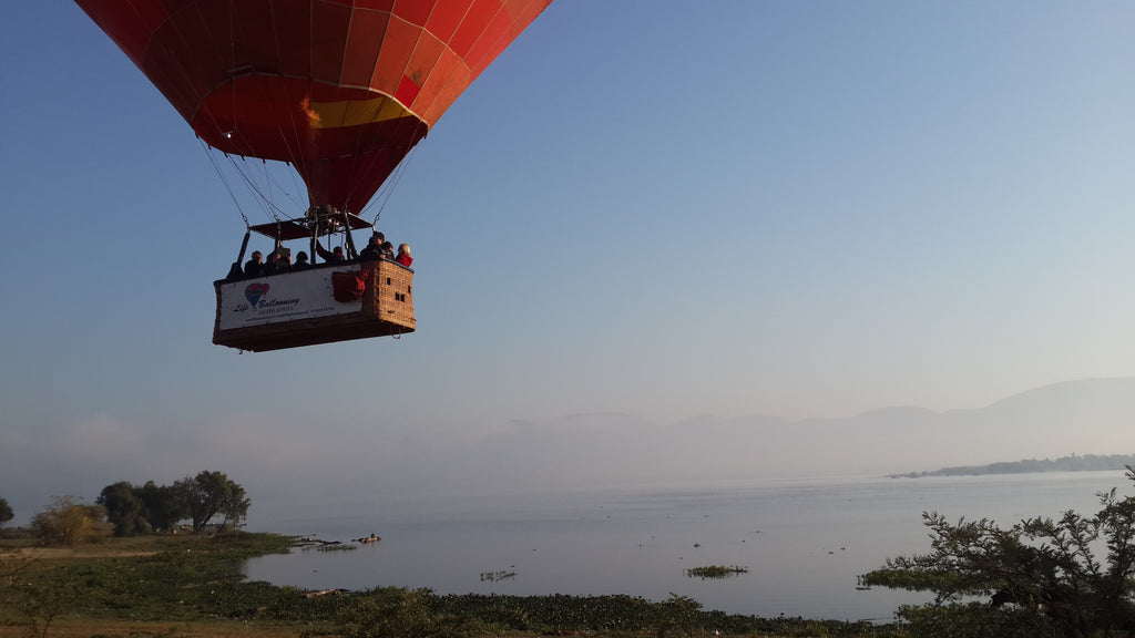 Sailing the skies along the water's edge