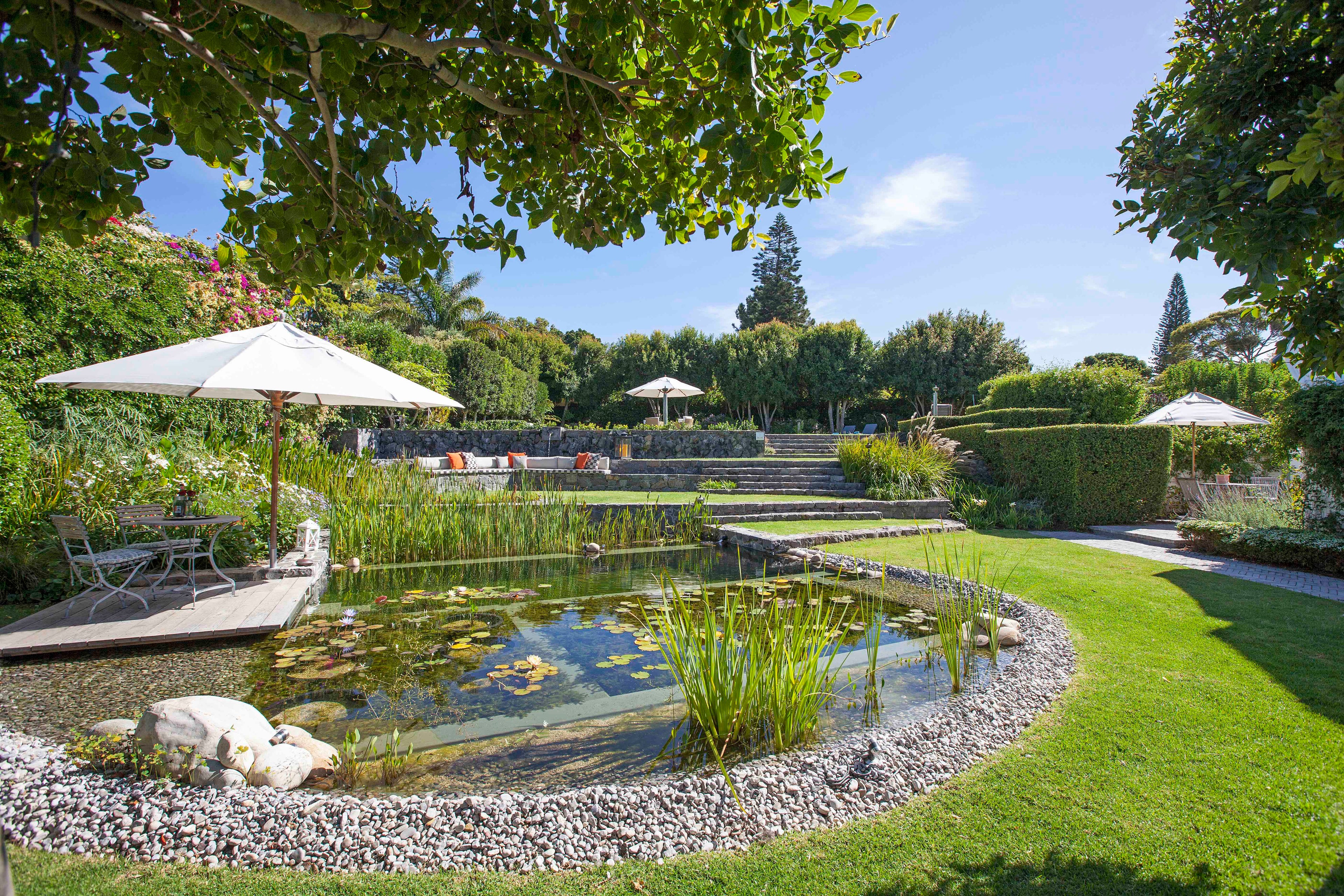 Natural pond