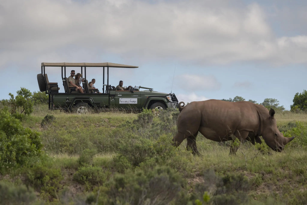 Founders Lodge by Mantis at Founders Lodge by Mantis, Amakhala Game Reserve, South Africa.
