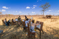 WILD HORIZONS ELEPHANT ART