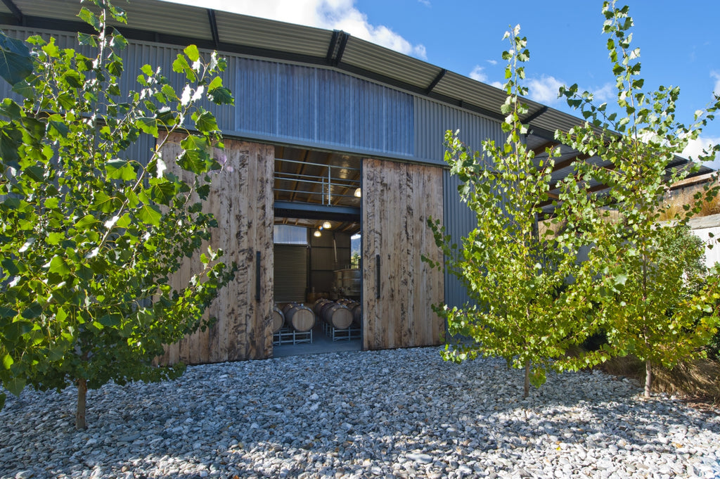 Coal Pit Vineyard