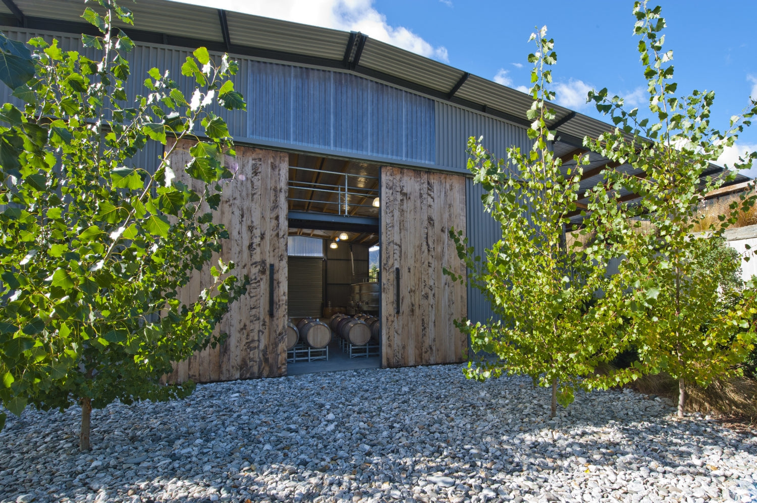 Coal Pit Vineyard
