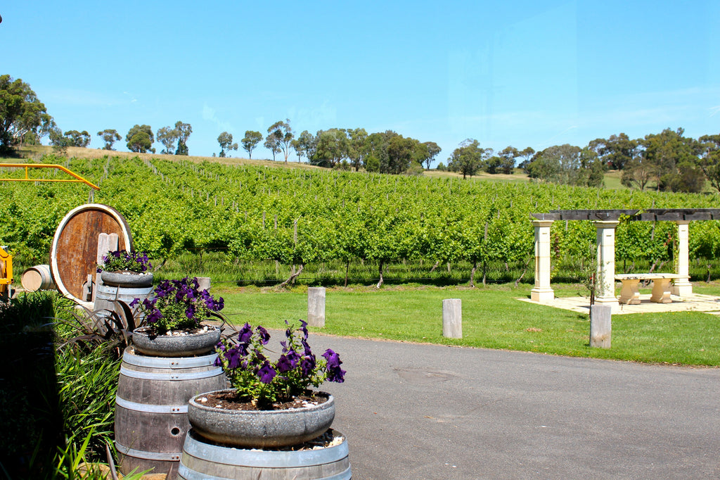 Fergusson Winery & Restaurant