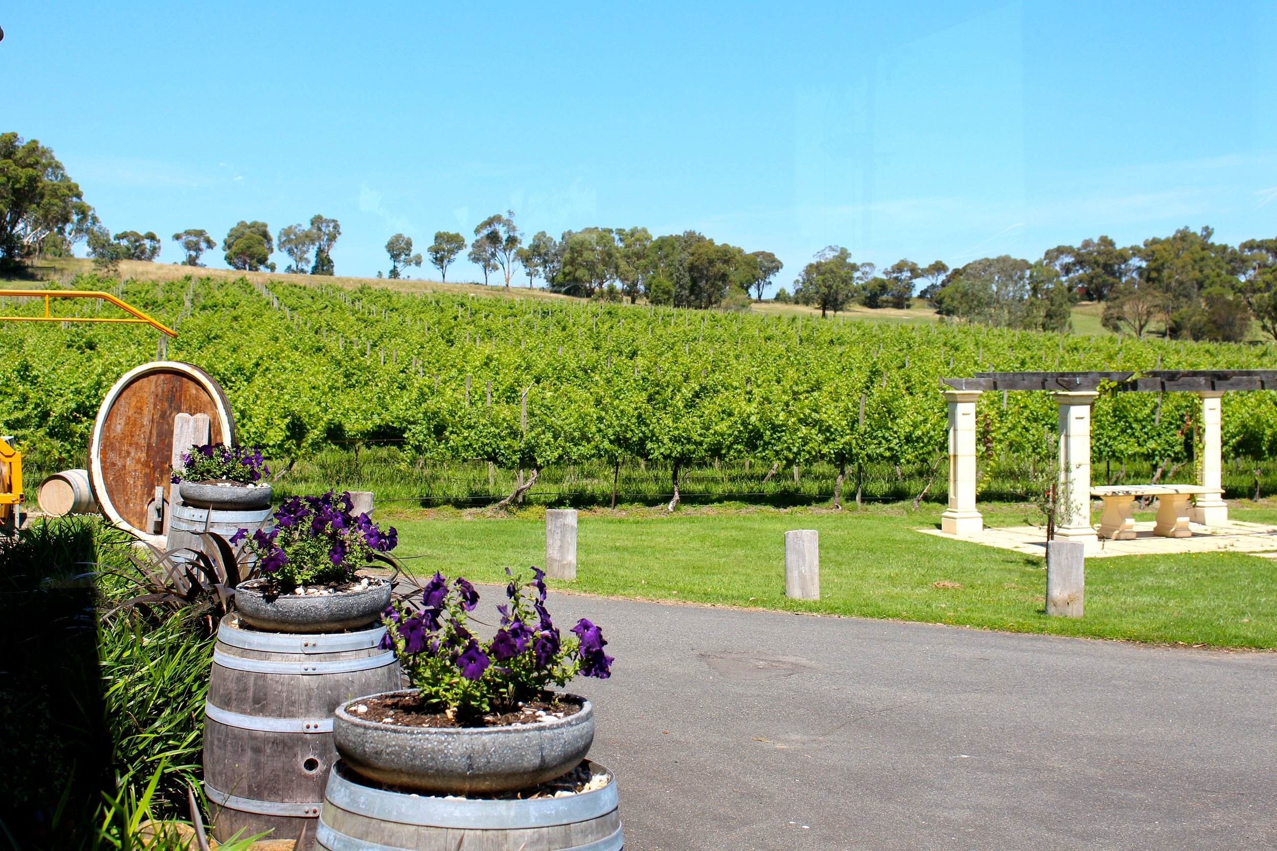 Fergusson Winery & Restaurant
