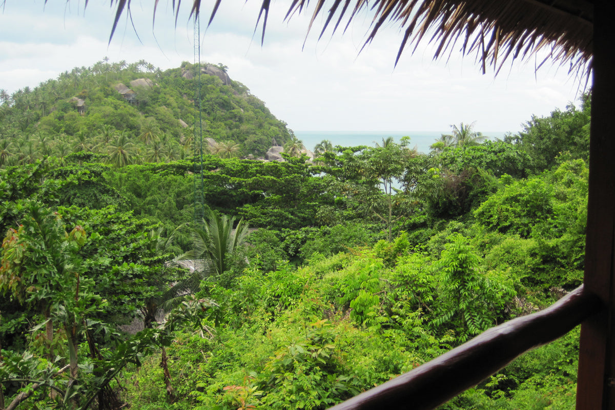 The Sanctuary Thailand