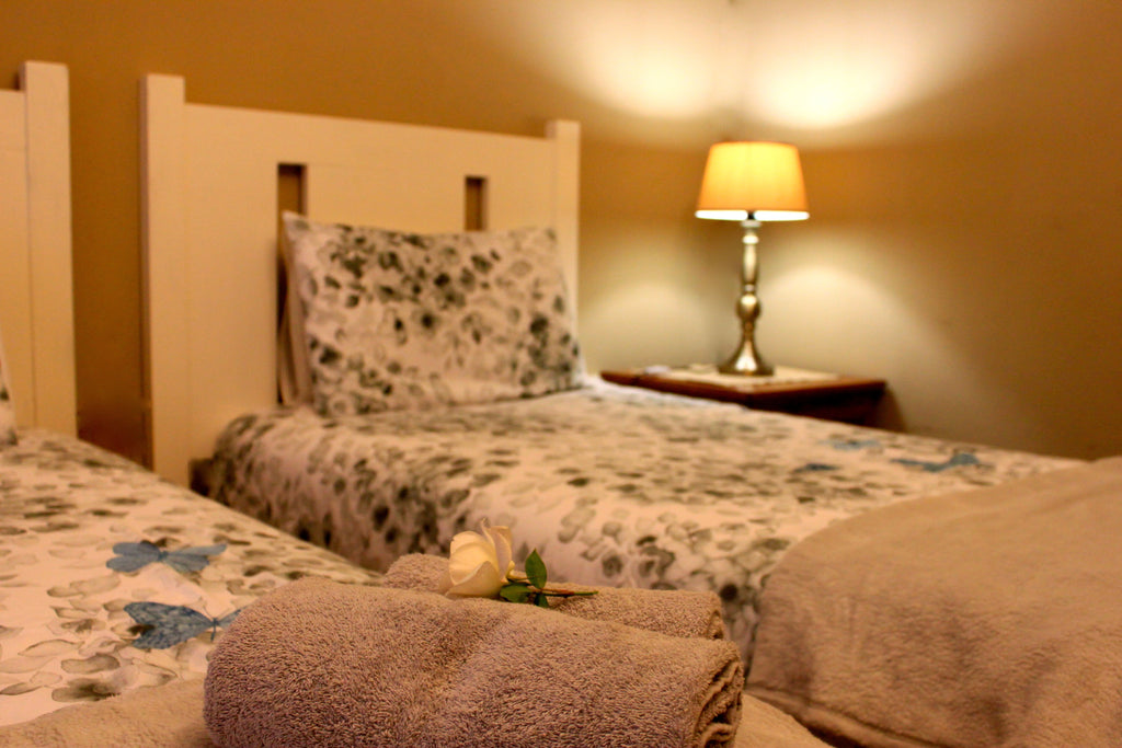Standard Room:  Twin beds en-suite