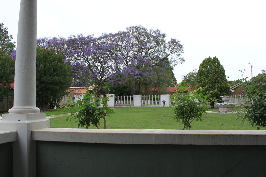 View from verandah