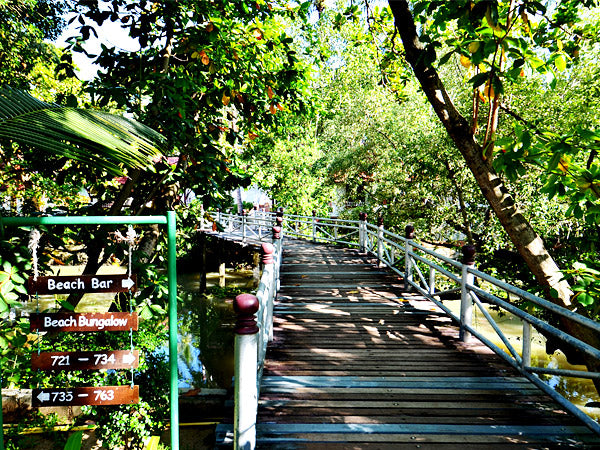 Bridge to the beach