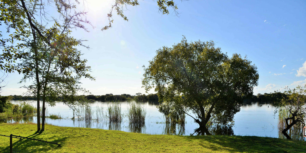 View of the Chobe River